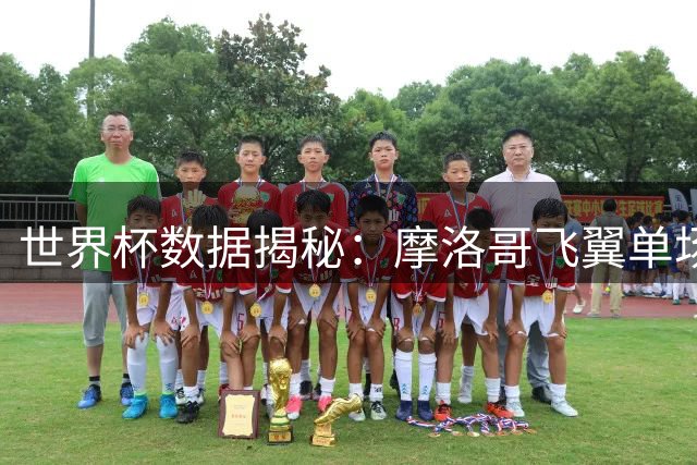世界杯数据揭秘：摩洛哥飞翼单场7次关键传球领跑，梅西双战上榜