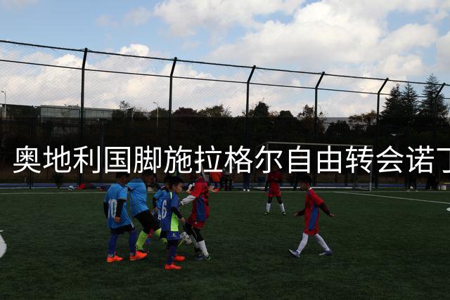 奥地利国脚施拉格尔自由转会诺丁汉森林 与恩师格拉斯纳再续前缘